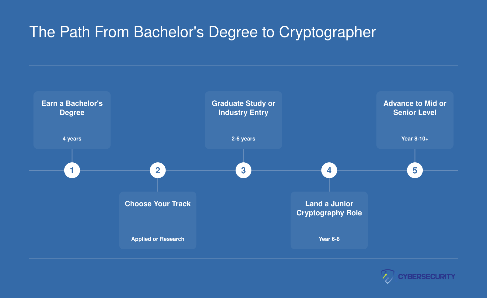 Credentialing timeline from a four-year bachelor's degree through junior and senior cryptographer roles, with branching applied and research tracks
